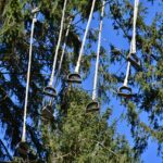 Découvrez l'accrobranche : une aventure à sensation pour tous Parcours accrobranche