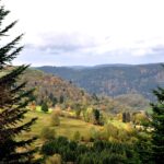 Guide ultime pour la randonnée dans les Vosges Vosges en automne