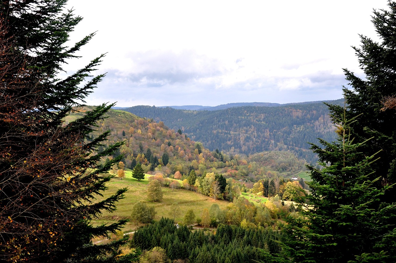 Vosges en automne