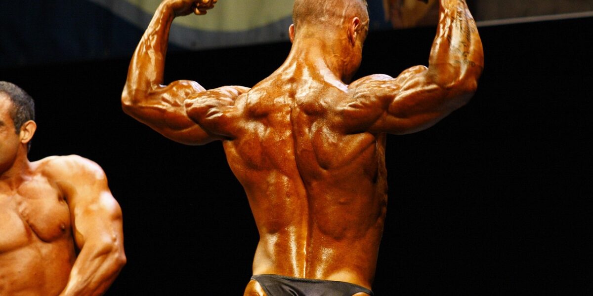body building - musculation du dos