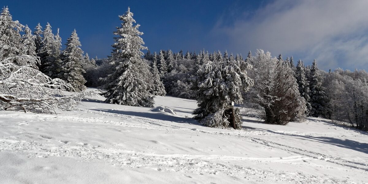 Vosges en hiver