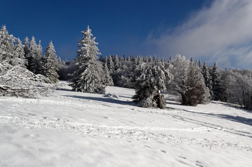 Vosges en hiver