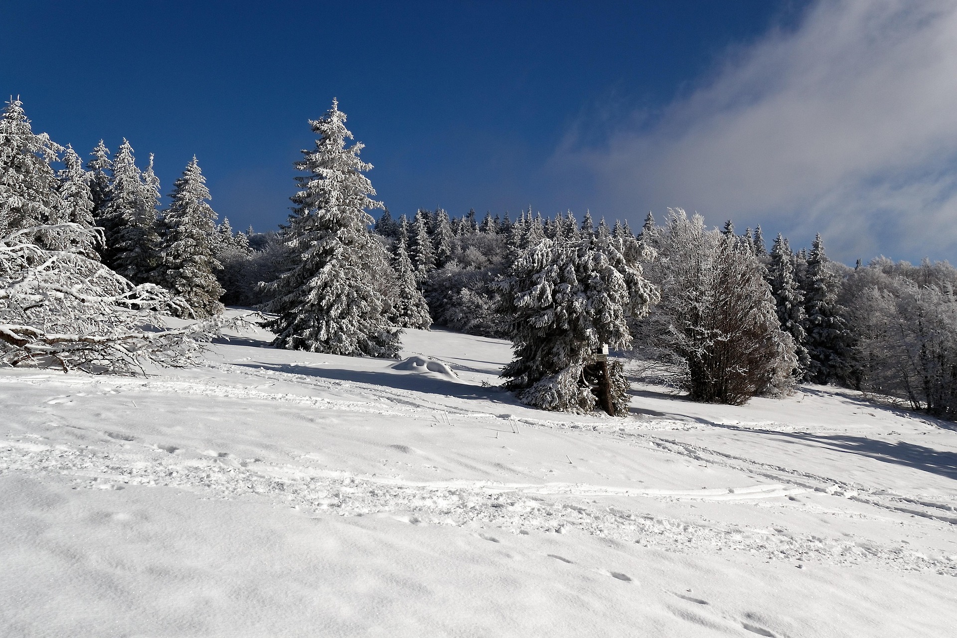 Découvrez les meilleures stations de ski dans les Vosges Vosges en hiver